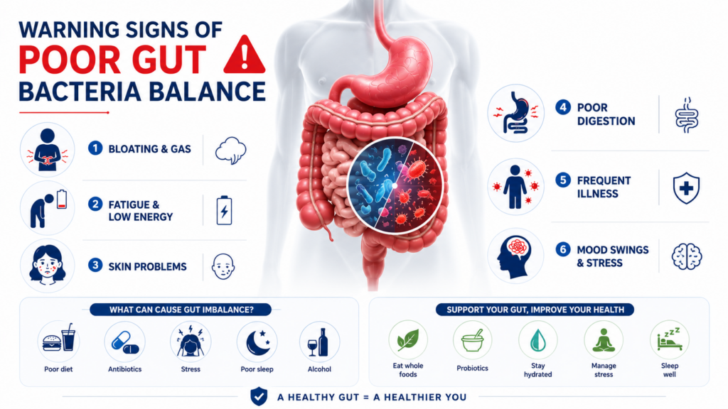 Gut Bacteria Balance